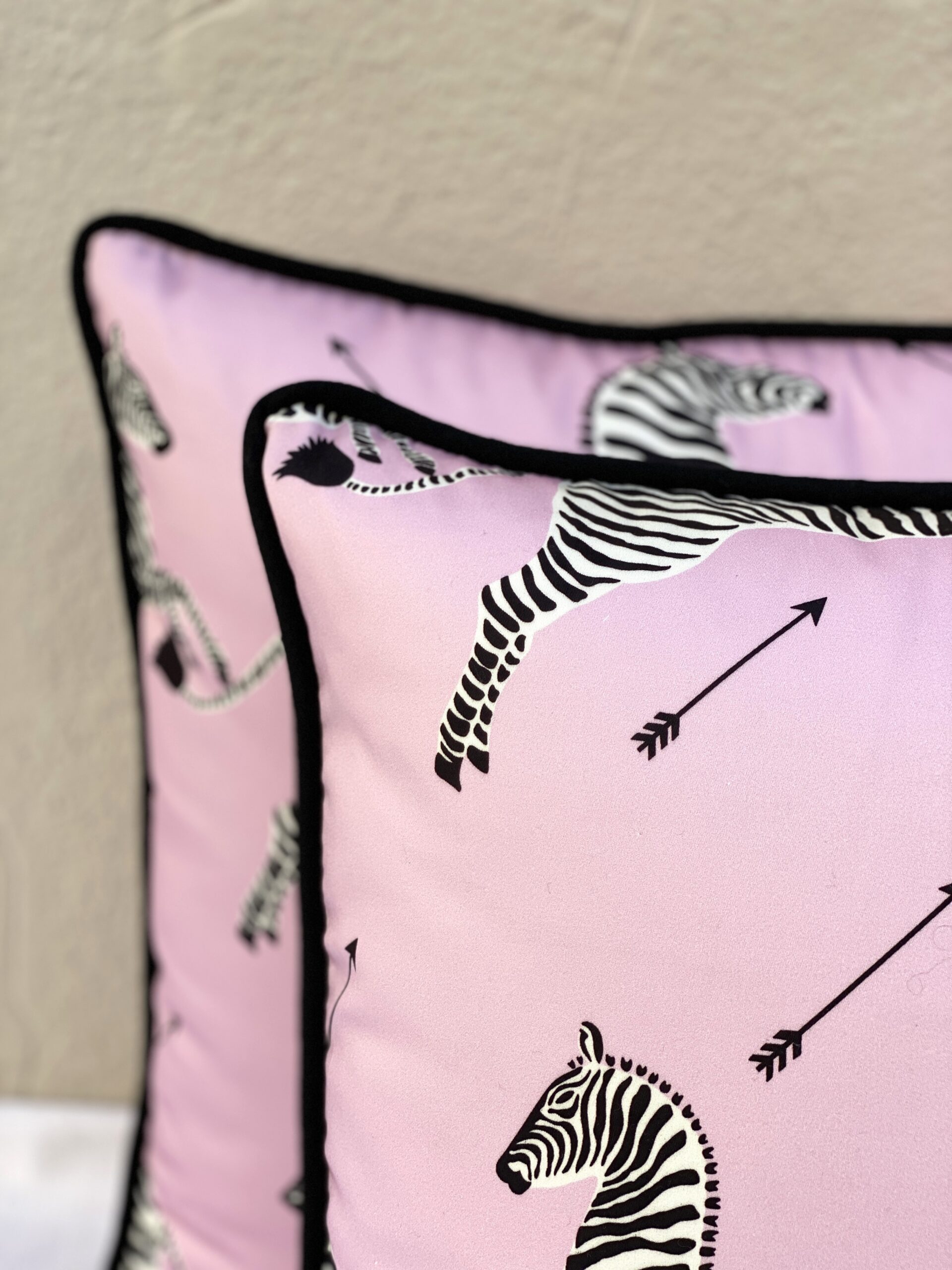 Scalamandre Zebras Petite Pillows