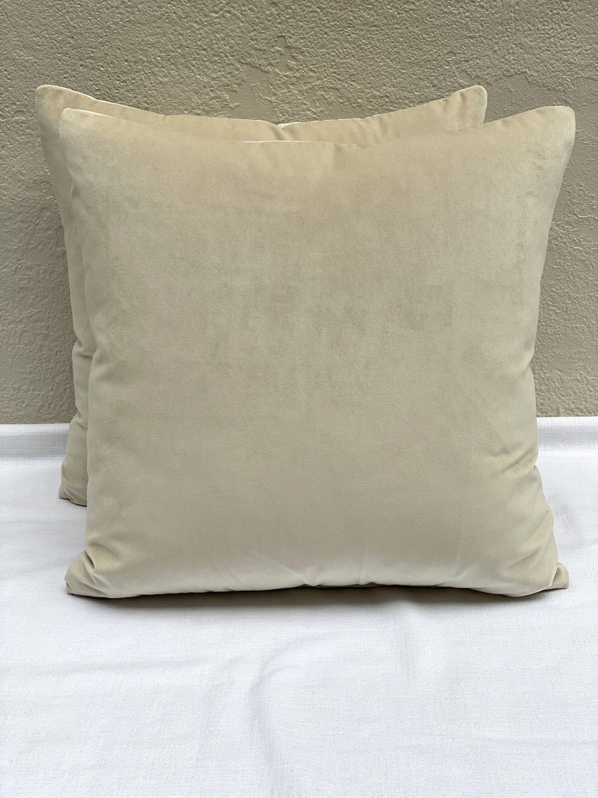 Elizabeth Bolognino Solid Velvet Pillows