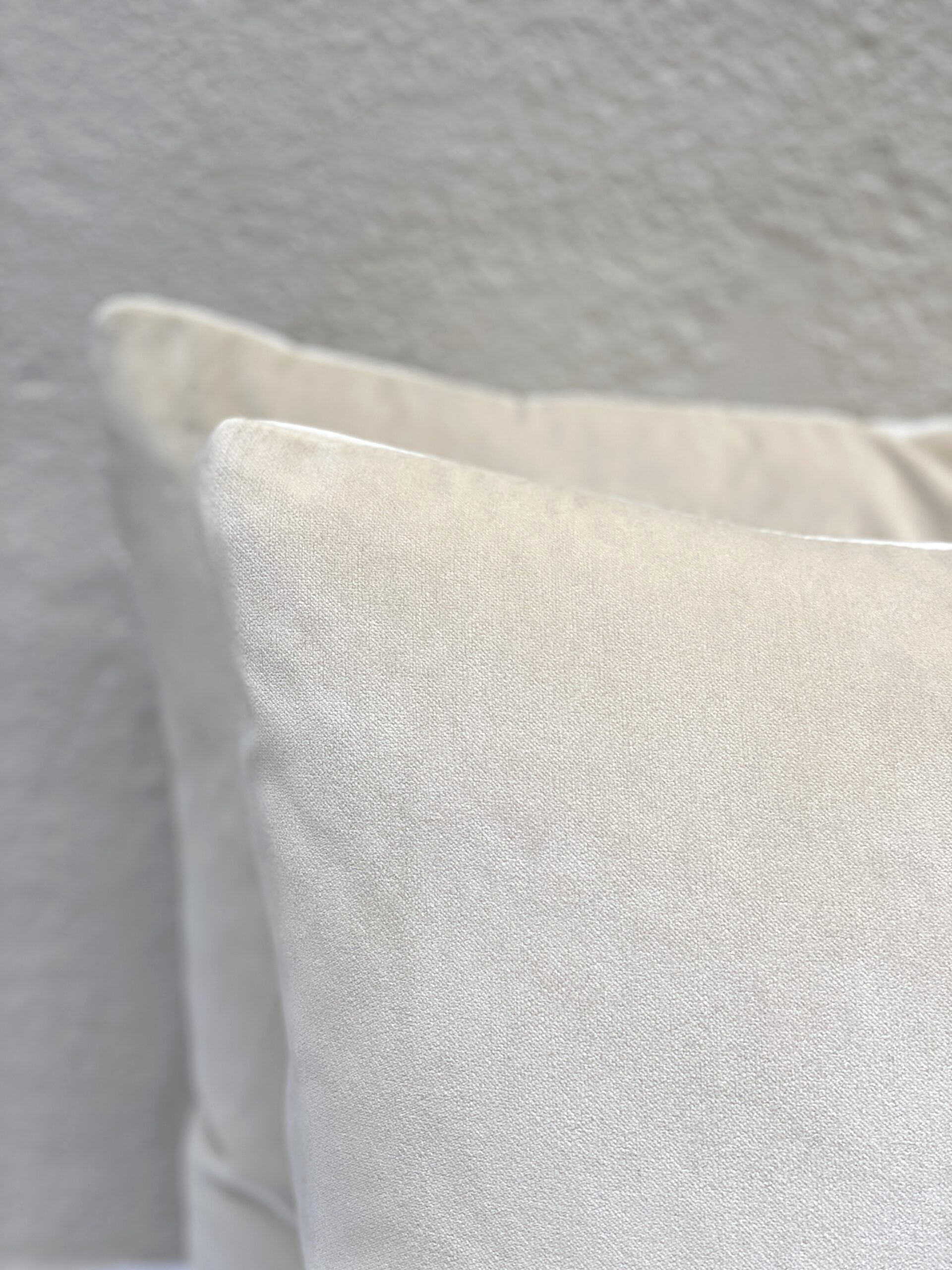 Elizabeth Bolognino Solid Velvet Pillows