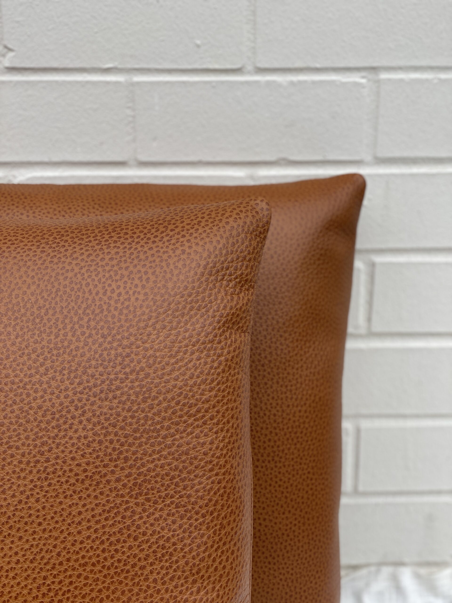 Edelman Leather Pillows
