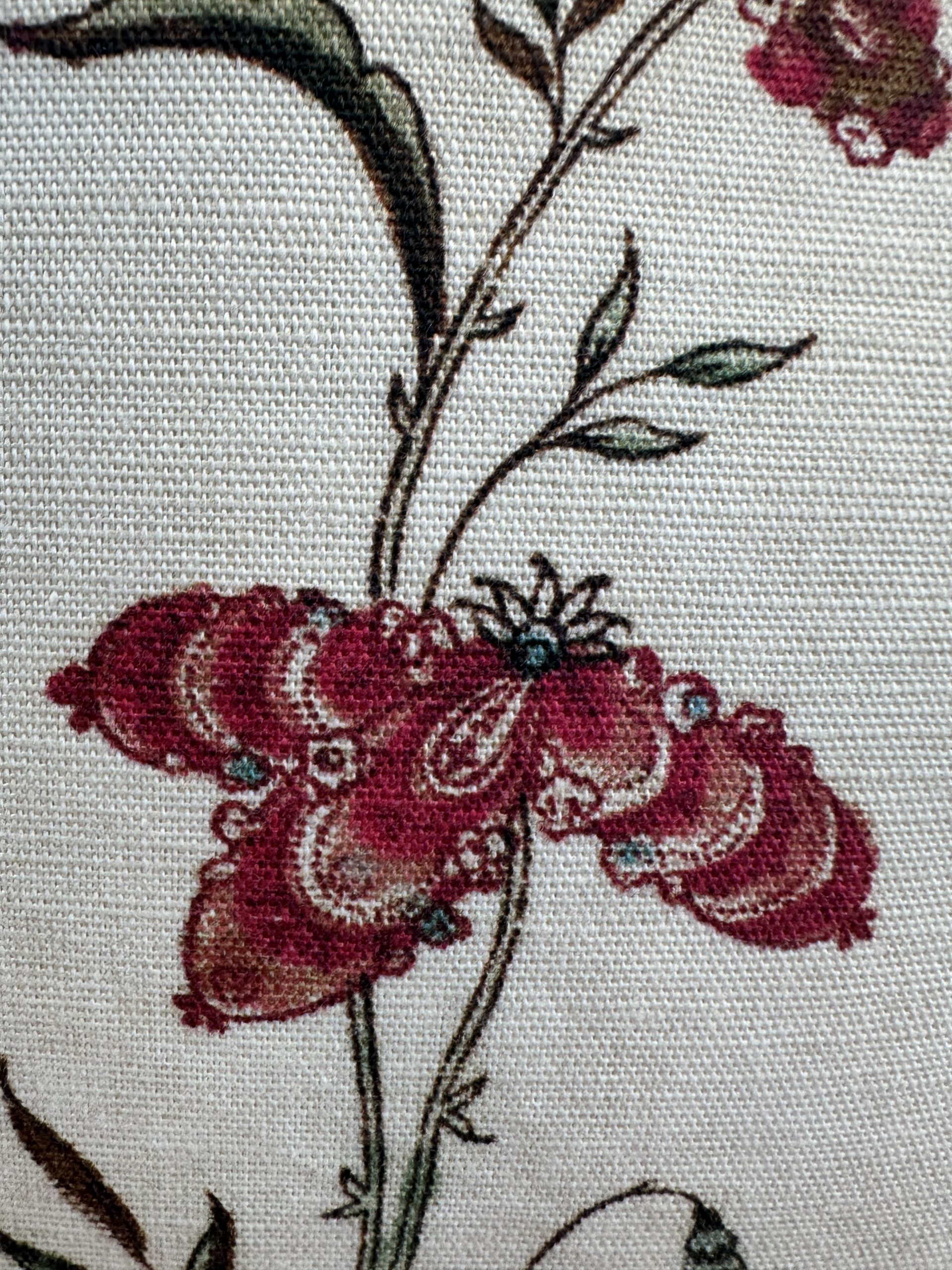 Antoinette Poisson Coromandel Pillows