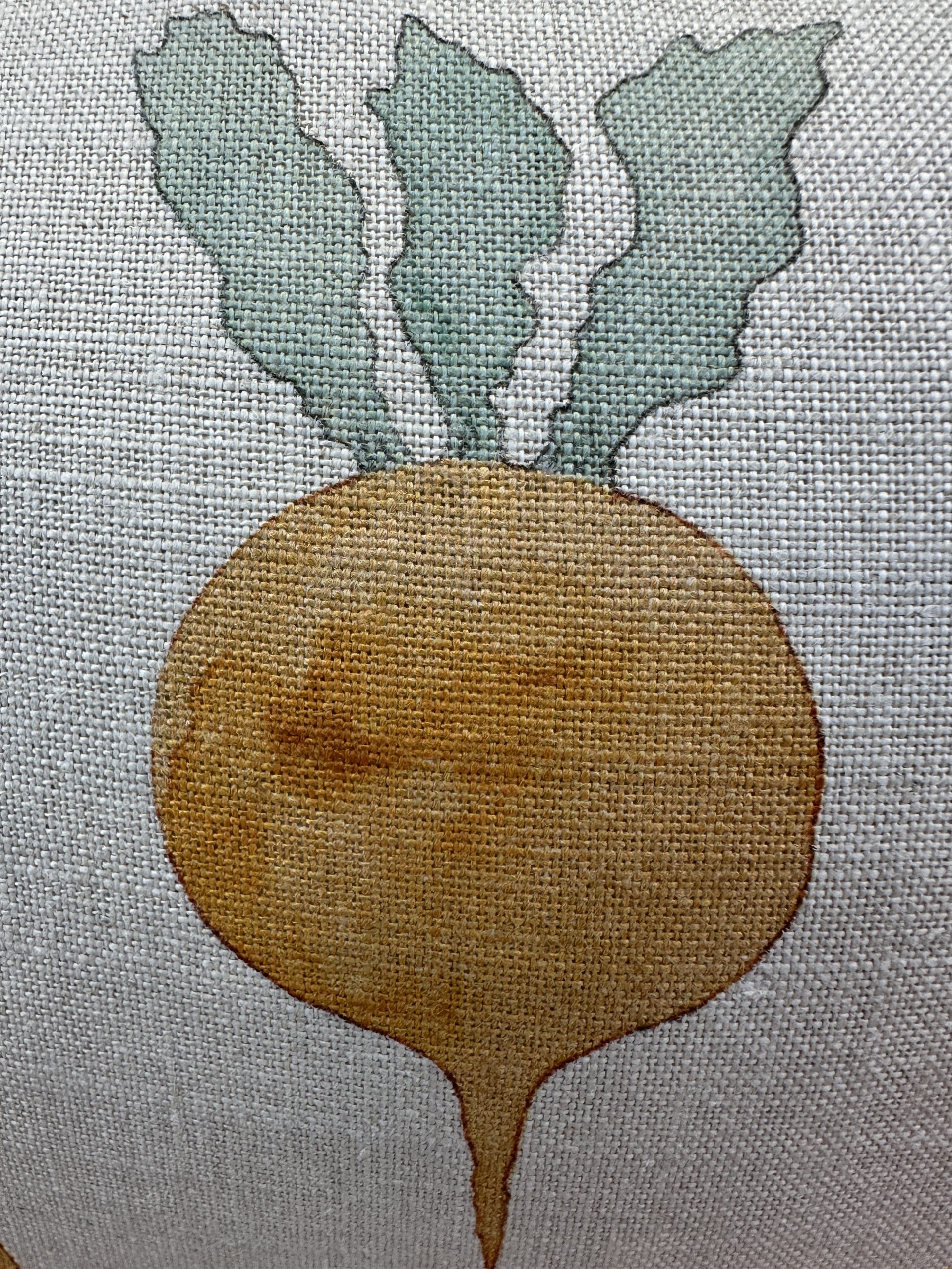 Radish Moon Turnips Pillows