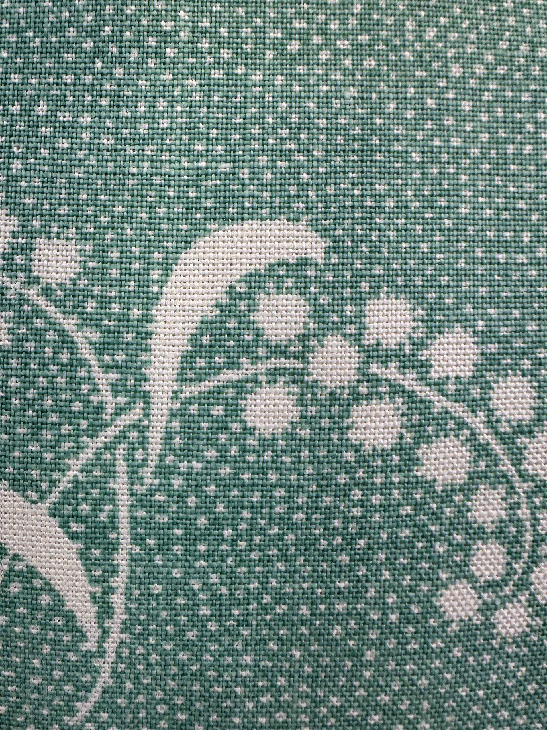 Carolina Irving Mimosa Vine Pillows