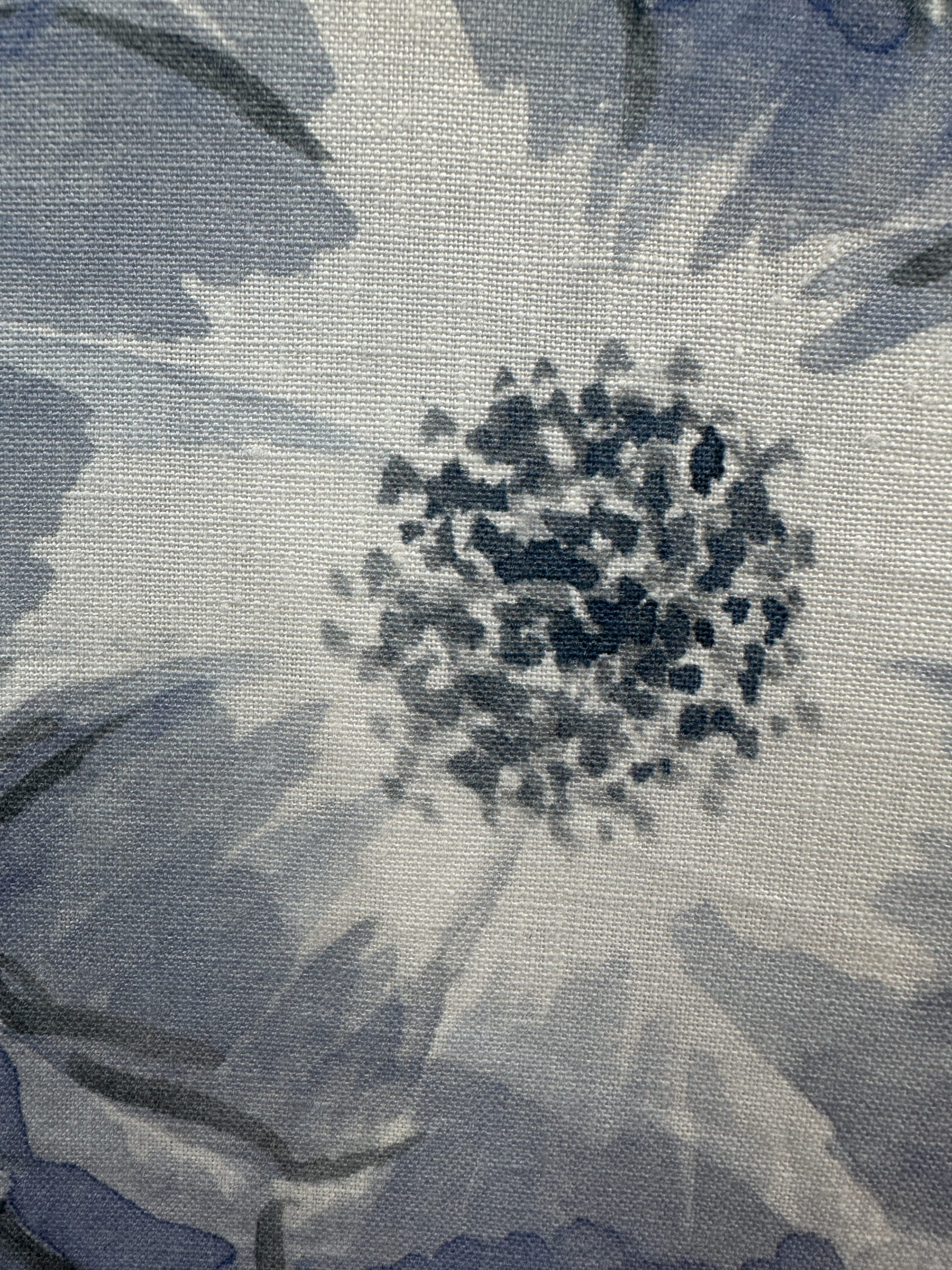 KK Harris Aphrodites Anemone Pillows