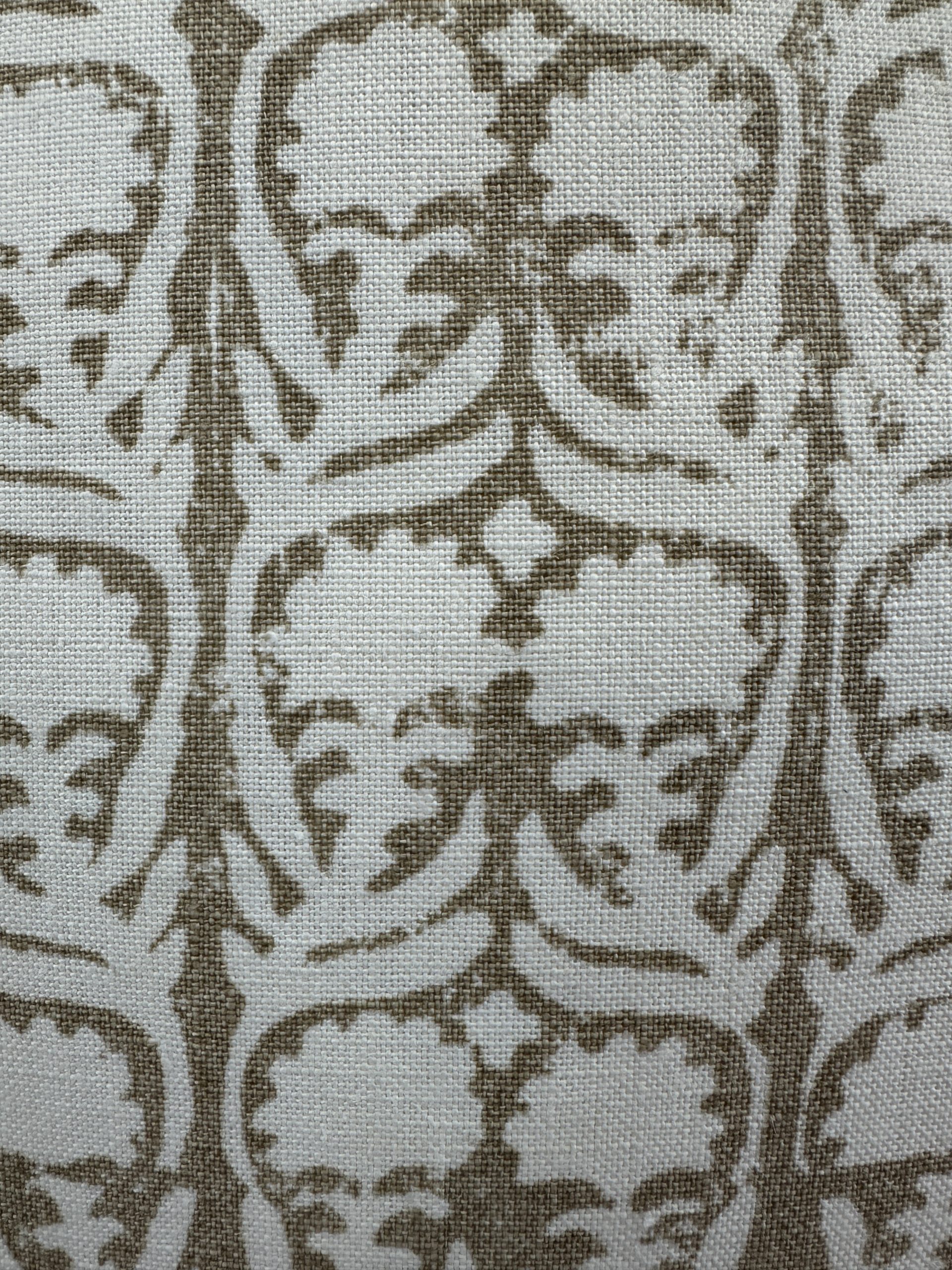 Penny Morrison Ashok Pillows