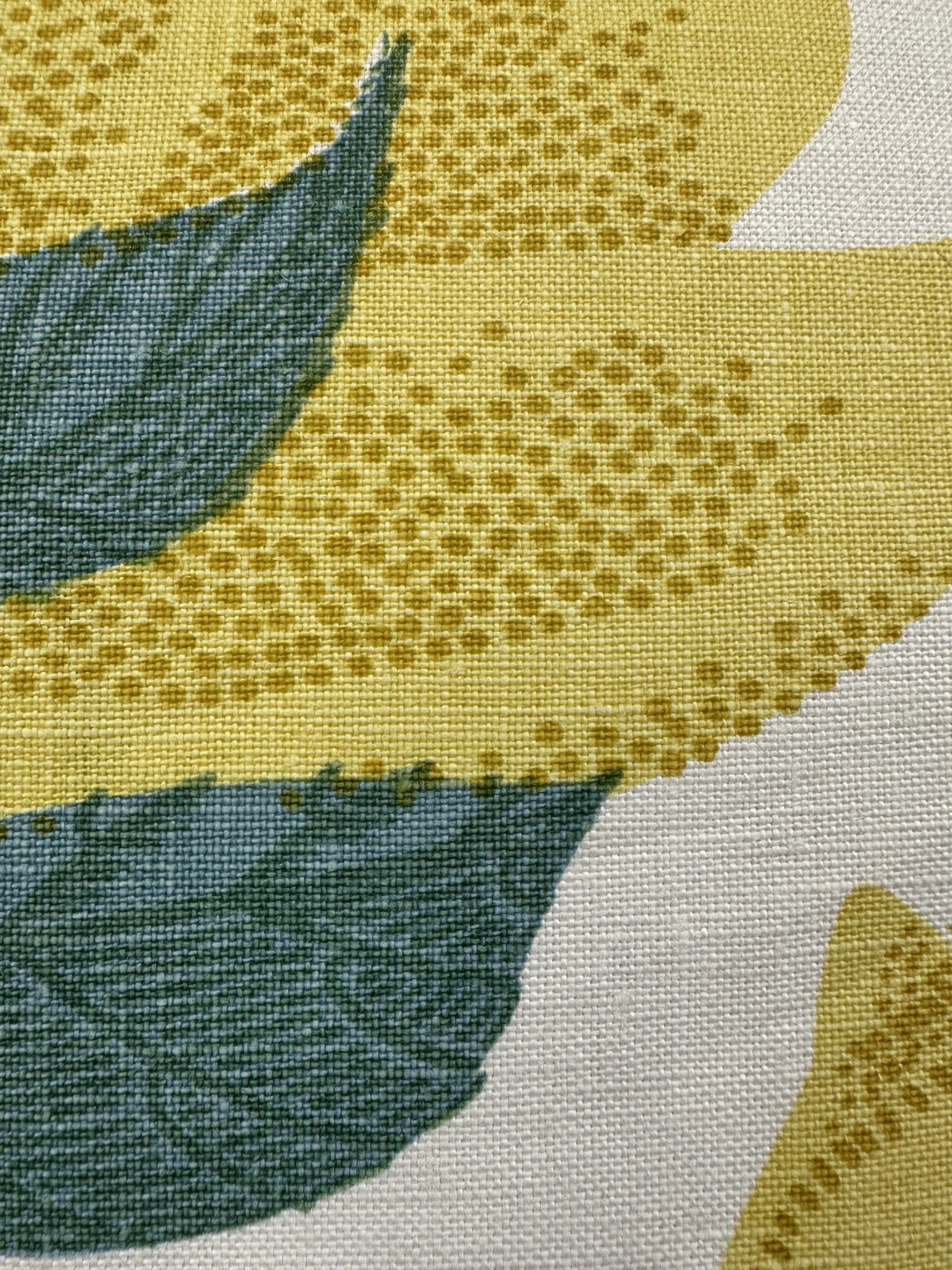 Fanny Shorter Margo Pillows