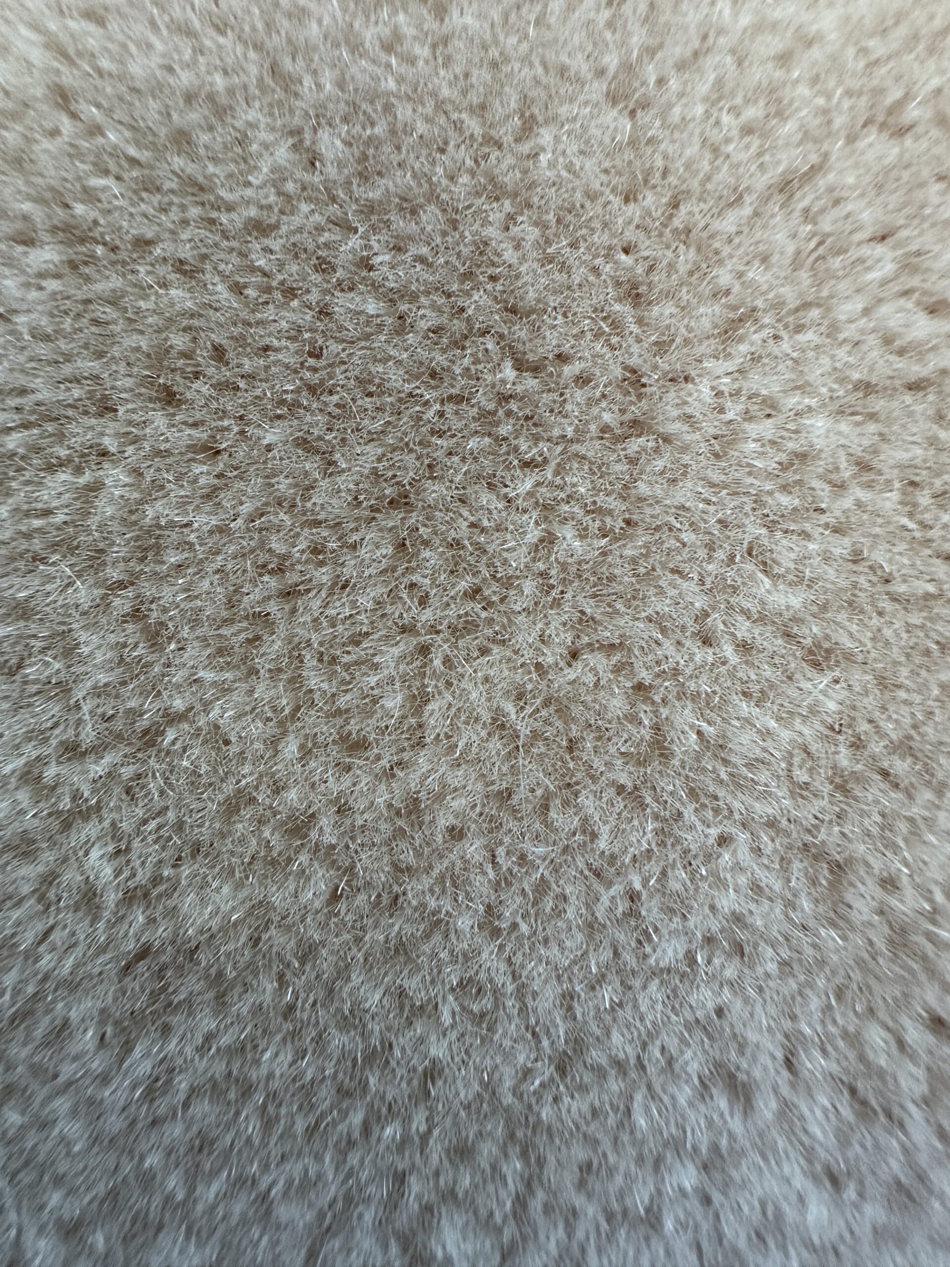 Rose Uniacke Mohair Velvet Pillows
