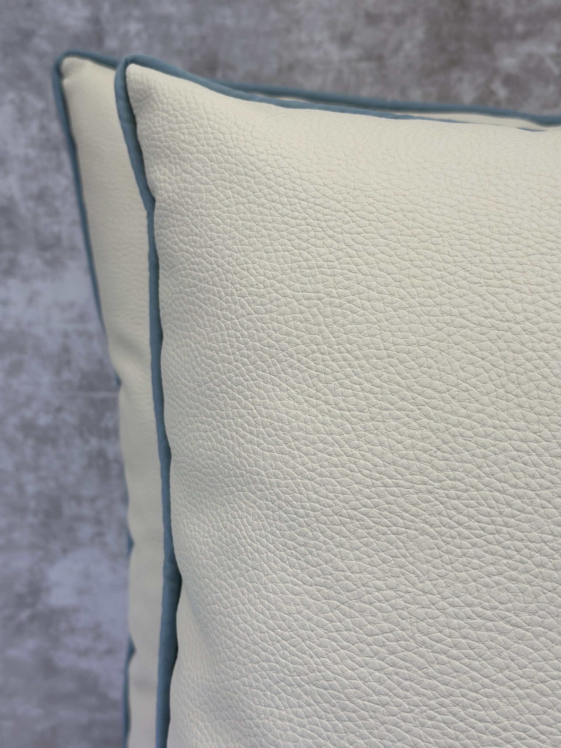 Kravet Sela Pillows