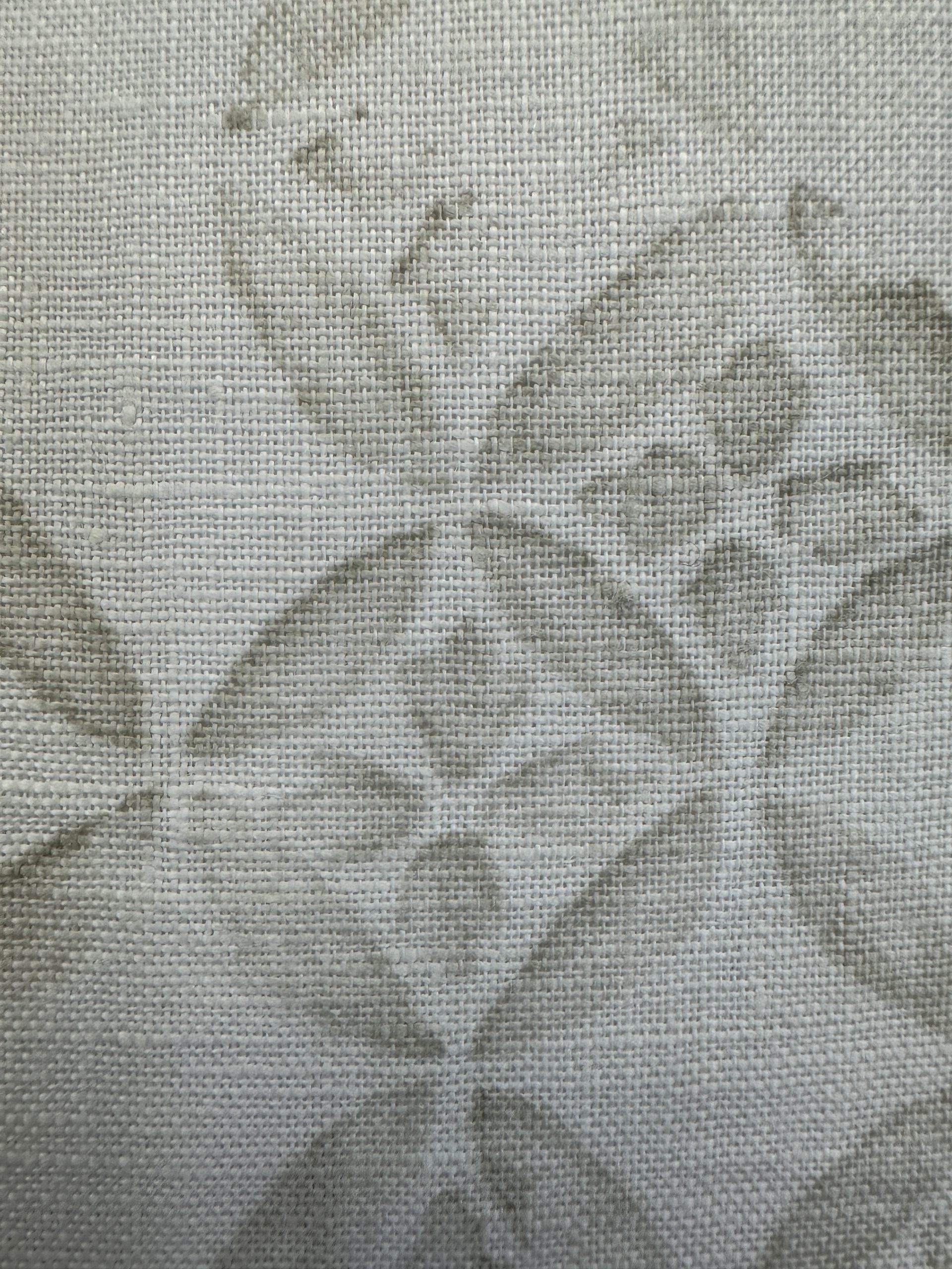 Rose Tarow Laghetto Pillows