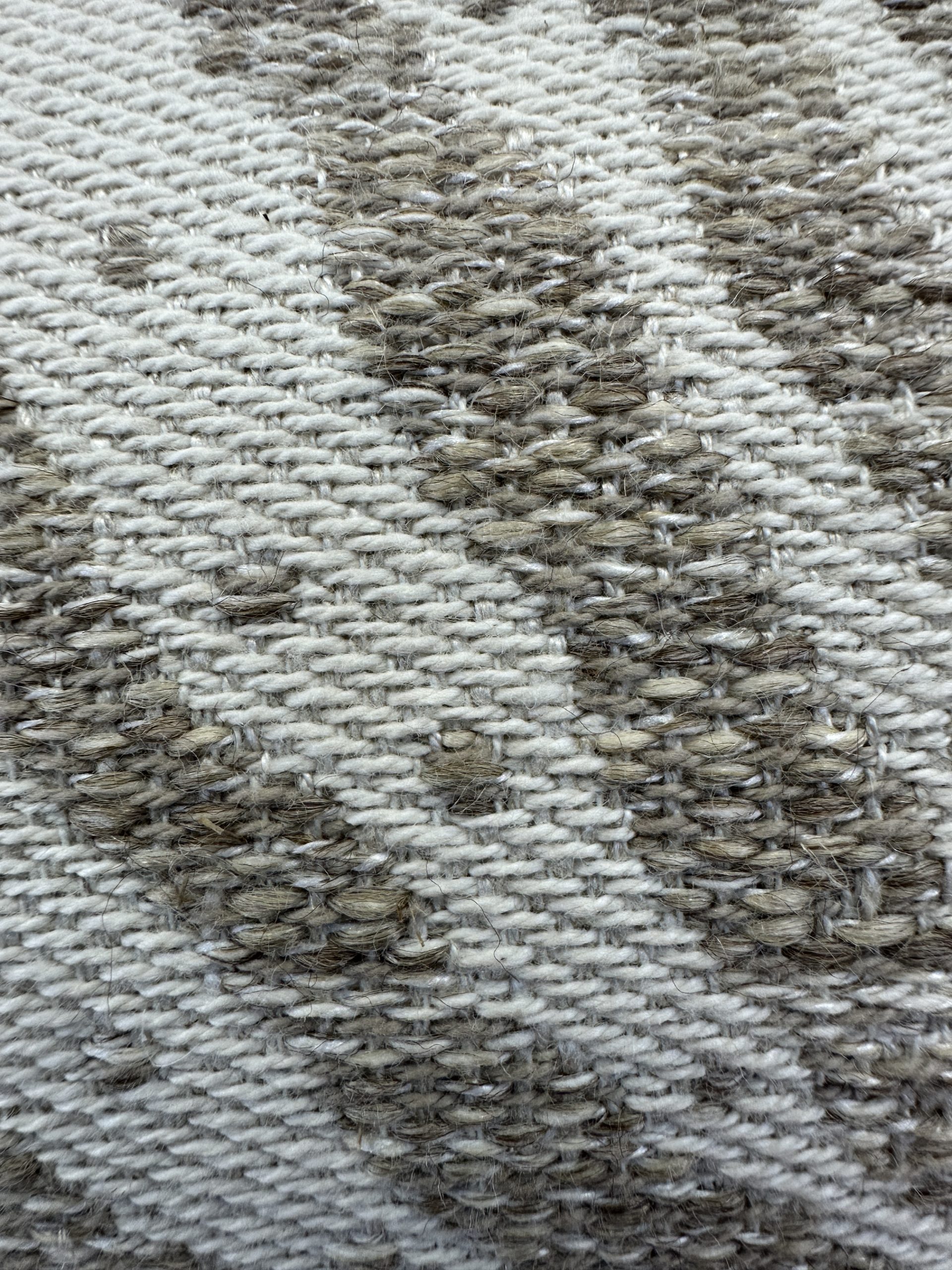 Schumacher Creeping Fern Pillows