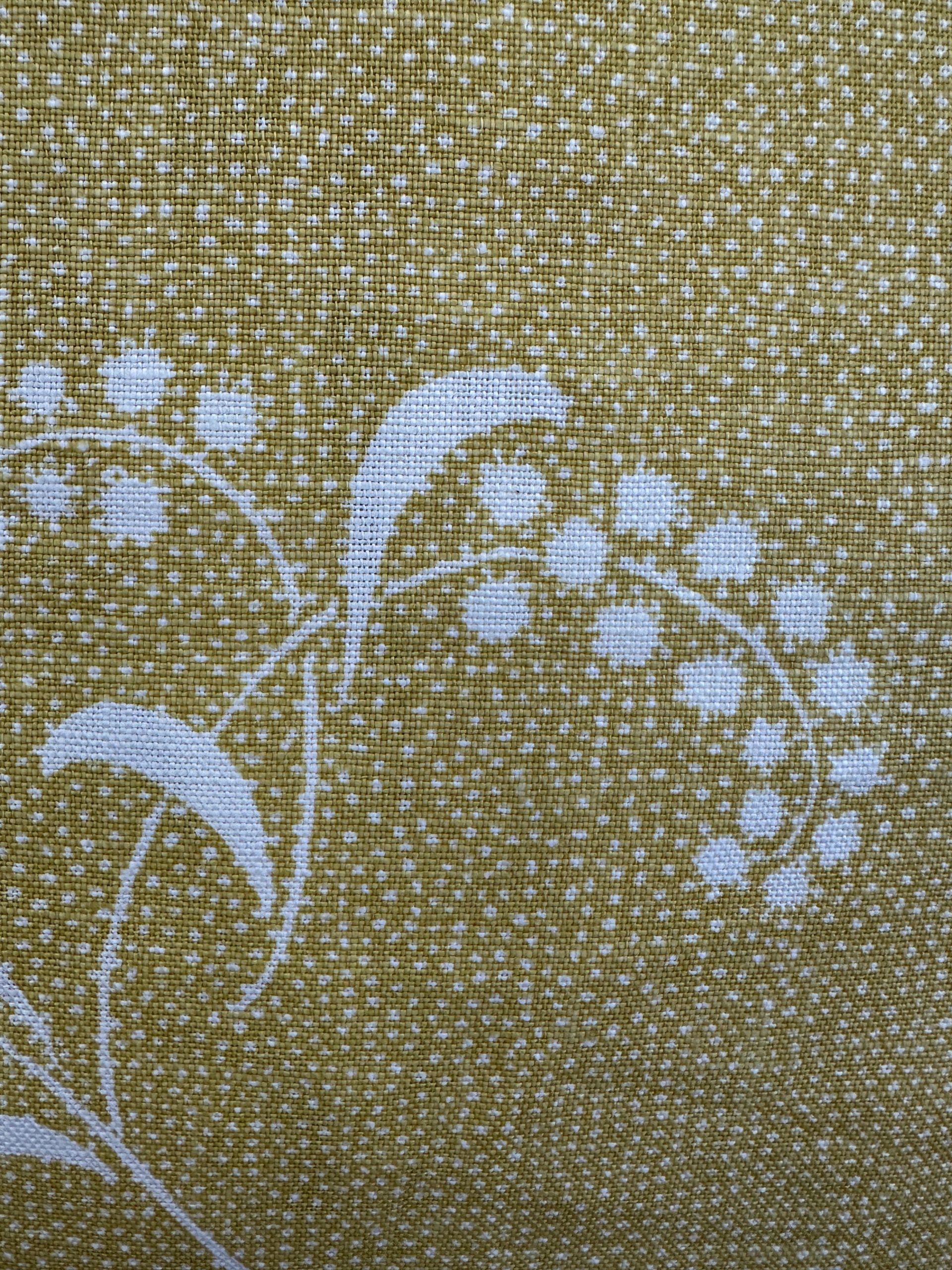 Carolina Irving Mimosa Pillows