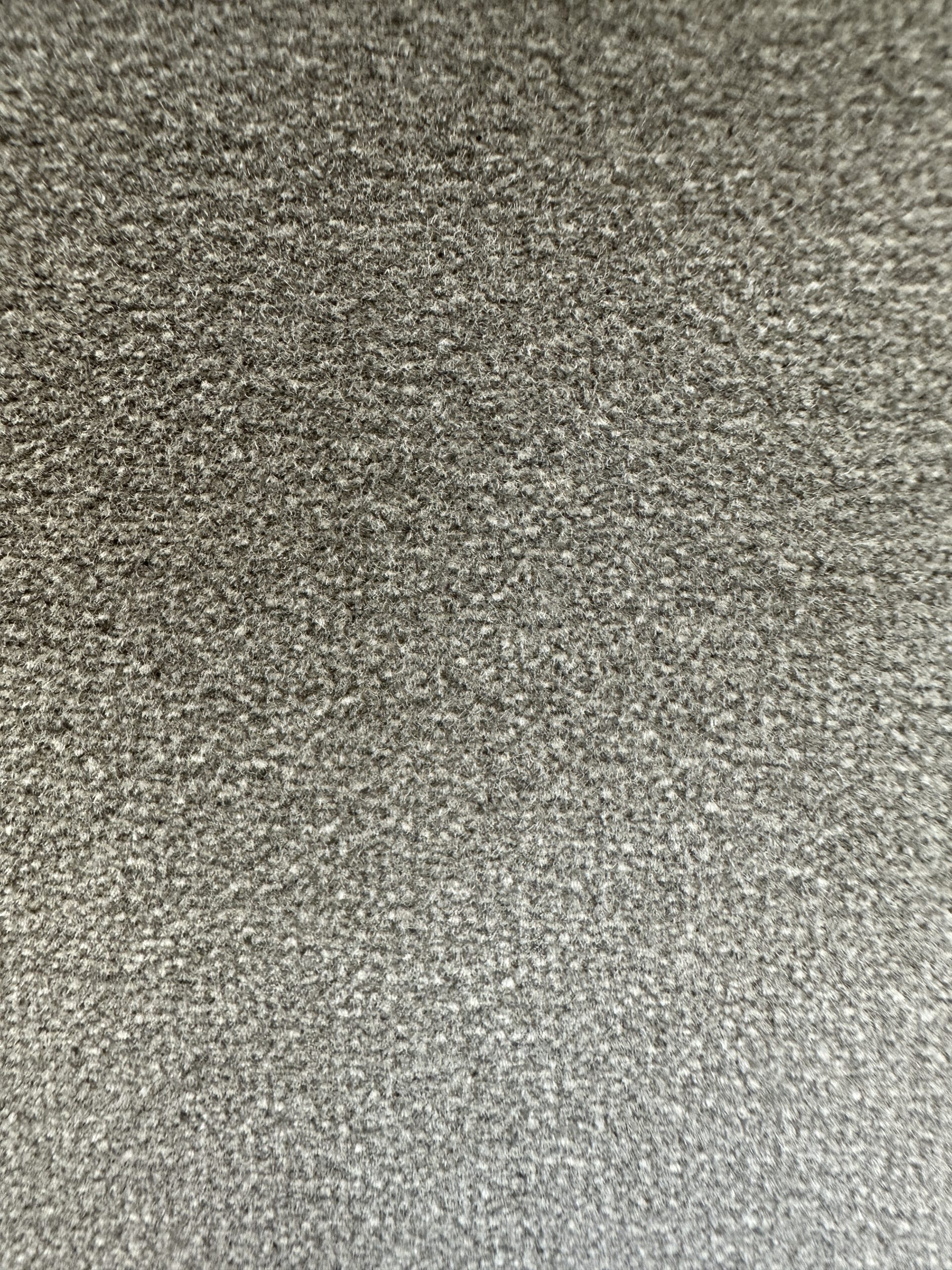 Thibaut Lyra Velvet Pillows