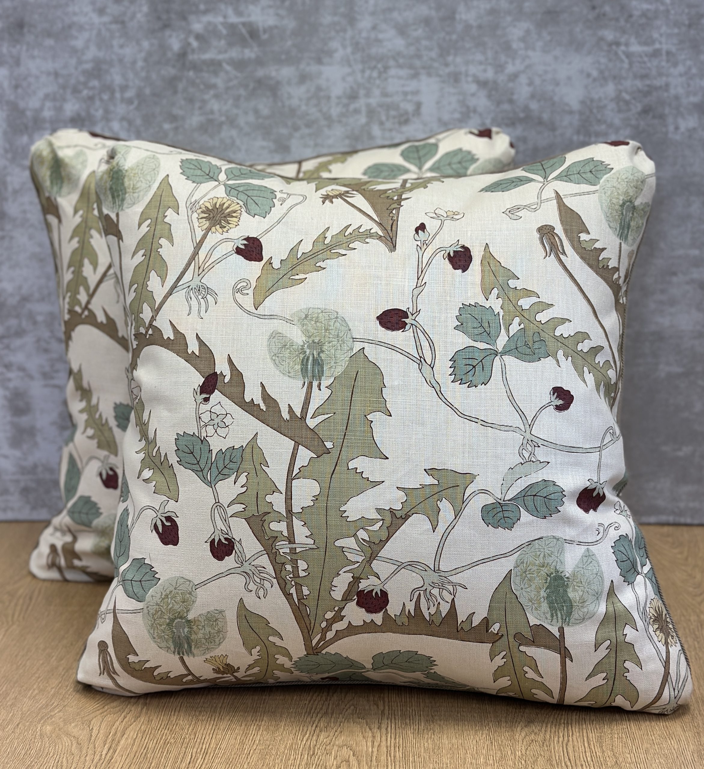 Robert Kimg Dandelion Clock Pillows