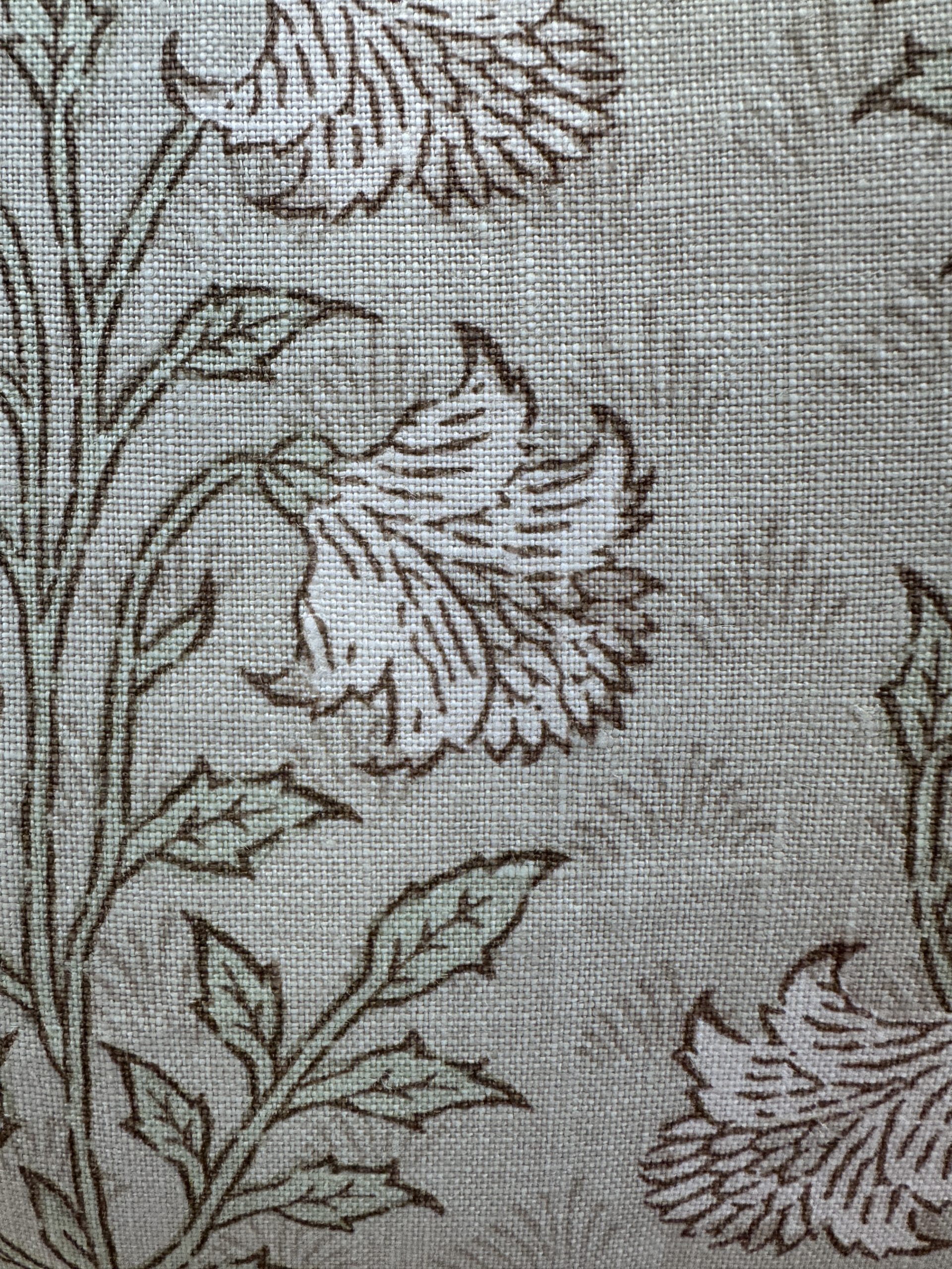 Namay Samay Morog Jhuti Pillows